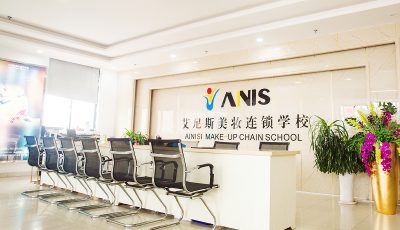 艾尼斯控股集团有限公司